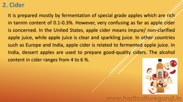 Fermented Beverages PPT - Image 5